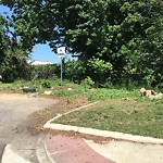 Litter/Illegal Dumping at 1000 37 Th St