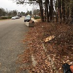Litter/Illegal Dumping at 428 Stafford Dr