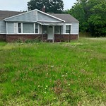 Tall Grass/Weeds at 5920 Wickham Ave