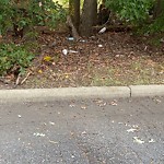 Litter/Illegal Dumping at 415 Ashton Green Blvd