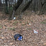 Litter/Illegal Dumping at 481 Bryson Ct