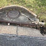 Storm Drains at 17 Cherbourg Dr