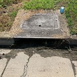 Storm Drains at 528 Bellwood Rd