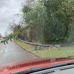Street Obstructions at 139 Pine Bluff Dr