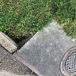 Storm Drains at 780 Darden Dr
