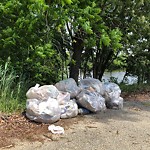 Litter/Illegal Dumping at 429 Oriana Rd
