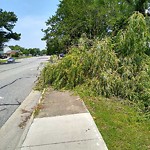 Street Obstructions at 748 Old Lucas Creek Rd