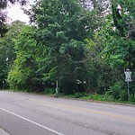 Tall Grass/Weeds at 803 Filson Ct