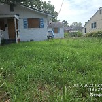 Tall Grass/Weeds at 1136 37 Th St