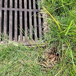 Storm Drains at 929 Moyer Rd