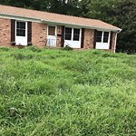 Tall Grass/Weeds at 18 Pennington Ave