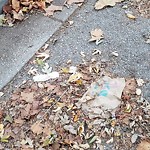 Litter/Illegal Dumping at 521 Chesapeake Ave