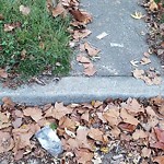 Litter/Illegal Dumping at 521 Chesapeake Ave