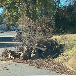 Litter/Illegal Dumping at 57 Crestwood Dr