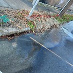 Storm Drains at 1601 Ivy Ave