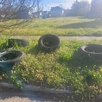 Litter/Illegal Dumping at 2410 Roanoke Ave