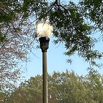 Streetlights at 55 Avella Ct