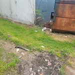 Litter/Illegal Dumping at 3501 Madison Ave