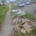 Litter/Illegal Dumping at 1035 36 Th St