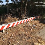 Litter/Illegal Dumping at 146 Ash Ave