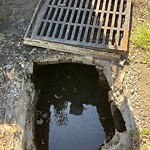 Storm Drains at 706 72 Nd St