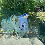 Litter/Illegal Dumping at 113 Ash Ave