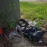 Litter/Illegal Dumping at 2600 Warwick Blvd