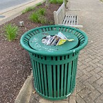 Litter/Illegal Dumping at 10245 Warwick Blvd