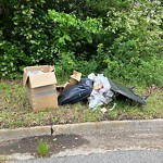 Litter/Illegal Dumping at 1014 Russell Ct E