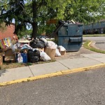 Litter/Illegal Dumping at 4623 Rochester Ct