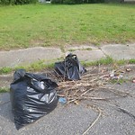 Litter/Illegal Dumping at 1148 35 Th St
