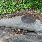 Storm Drains at 1221 Colony Pines Dr