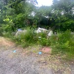 Litter/Illegal Dumping at 547 45 Th St
