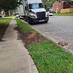 Street Obstructions at 391 Circuit Ln