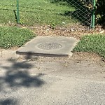 Storm Drains at 537 Bellwood Rd