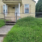 Tall Grass/Weeds at 333 Poplar Ave