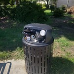 Litter/Illegal Dumping at 6031 Jefferson Ave