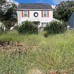 Tall Grass/Weeds at 1616 Wickham Ave