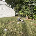 Litter/Illegal Dumping at 2119 Marshall Ave