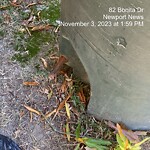 Damaged Container at 82 Bonita Dr