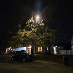 Streetlights at 163 Pine Bluff Dr