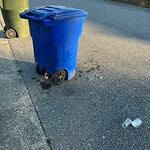 Litter/Illegal Dumping at 283 Adrienne Pl