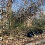 Litter/Illegal Dumping at 547 45 Th St