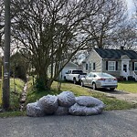 Litter/Illegal Dumping at 639 Temple Ln
