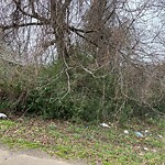 Litter/Illegal Dumping at 4507 Jefferson Ave