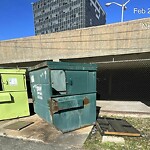 Litter/Illegal Dumping at 611 Scones Dam Rd