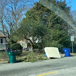 Litter/Illegal Dumping at 7400 Roanoke Ave