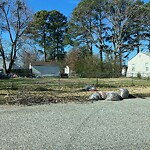 Litter/Illegal Dumping at 901 74 Th St