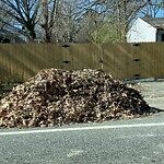 Litter/Illegal Dumping at 7203 Marshall Ave
