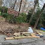 Litter/Illegal Dumping at 99 Beechwood Hls